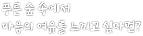 푸른 숲 속에서 마음의 여유를 느끼고 싶다면?
